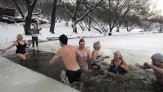 Le bain de jouvence des « morses » russes