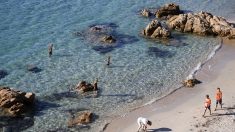 Et la plus belle plage de France se trouve… en Corse
