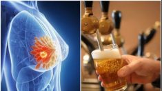 Il existe un sérieux lien entre l’alcool et le cancer du sein, mais les femmes n’y prêtent pas attention