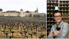 Bordeaux : Philippe Sollers écrit à Alain Juppé pour dénoncer le changement de noms des châteaux rachetés par les Chinois