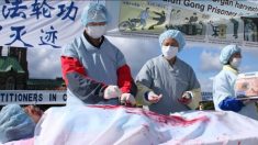Un prisonnier d’opinion tué à la suite d’un prélèvement d’organes forcé – sa fille réussit à s’évader de Chine pour témoigner