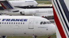 Un chien est retrouvé mort dans la soute d’un avion d’Air France