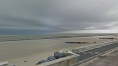 Normandie : neuf dauphins sauvés par des pêcheurs à pied sur la plage de Ver-sur-Mer