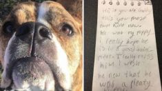 Une petite fille dépose son chien au refuge avec une note déchirante pour le futur propriétaire