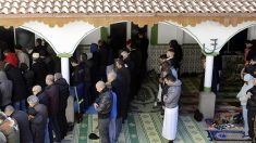 Marseille : une mosquée « prônant le djihad », « la haine des mécréants et la mort des apostats » accueille une réunion du Grand débat