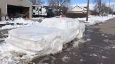 Une sculpture de neige représentant une Ford Mustang reçoit une contravention de stationnement