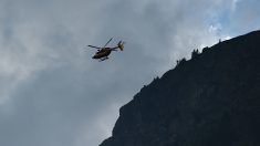 VIDÉO : les images magiques du sauvetage par hélicoptère d’un cheval coincé dans le Vaucluse