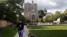 Yale renvoie une étudiante admise grâce à des pots-de-vin