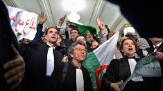 Un millier d’avocats manifestent contre un 5e mandat de Bouteflika à Alger