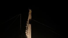 Lancement réussi: la nouvelle capsule de SpaceX est en route pour l’ISS