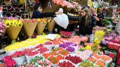 Russie: ruée sur les fleurs pour le 8 mars