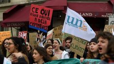 « Détruisons le patriarcat, pas le climat »: quand les jeunes Français confondent environnement et idéologie politique