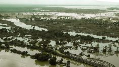 Une centaine de morts et 800.000 sinistrés dans les inondations au Mozambique et au Malawi