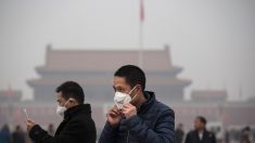Riz menacé, pluies et pollution: El Niño frappe la Chine