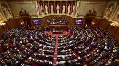 « Gilets jaunes » : Christophe Castaner et Bruno Le Maire convoqués mardi au Sénat après les violences à Paris