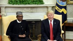 Les Etats-Unis se félicitent des élections « réussies » au Nigeria