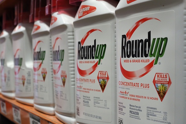 Monsanto : second procès accusant le géant de la chimie d'ignorer les risques sanitaires de son herbicide le plus vendu, le Roundup.      (Photo : ROBYN BECK/AFP/Getty Images)