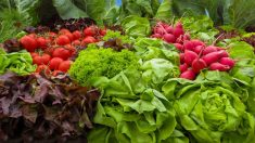 Nouvelle-Zélande : un supermarché chasse le plastique du rayon fruits et légumes et ses ventes explosent