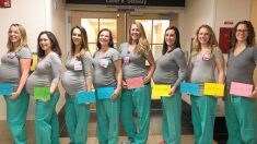 9 infirmières d’une même maternité tombent enceinte en même temps