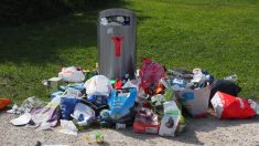 Un cycliste breton ramasse les déchets jetés dans les fossés et remplit plusieurs sacs de 50 litres chaque jour