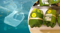 L’expérience d’un supermarché thaïlandais avec des feuilles de bananier pour remplacer les emballages en plastique