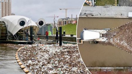 Un inventeur de Baltimore crée une poubelle ambulante pour nettoyer le port d’une manière unique en son genre