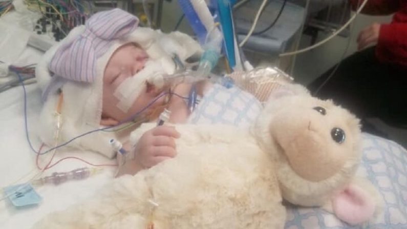 Addilyn, maintenant âgée de cinq mois, vue à l'hôpital en janvier 2019 après avoir été placée dans un coma artificiel du fait d'une enflure au cerveau. Elle a été libérée et se porte bien, cela a été annoncé le 14 mars 2019. (Espoir pour Addilyn/GoFundMe) 