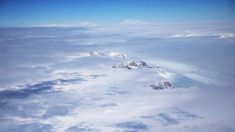 Selon un rapport, certains partisans de la Terre plate projettent un voyage en Antarctique