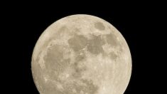 « Super Lune » du printemps : visible dans la nuit de mercredi à jeudi