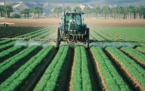 L'Assemblée a repoussé de trois ans l'interdiction de la fabrication sur le sol français de pesticides vendus en dehors de l'Union européenne, à 2025. (Photo d'illustration : Pixabay)