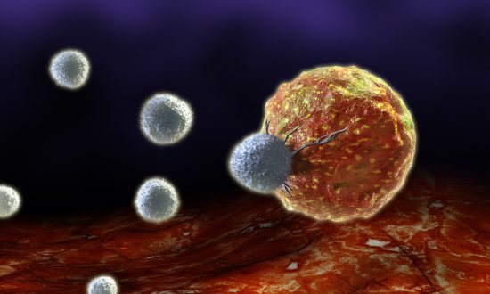 Une illustration numérique de lymphocytes T attaquant une cellule cancéreuse. (Andrea Danti/Shutterstock)