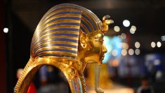 Exposition Toutânkhamon : « le trésor du pharaon »  à la Grande Halle de la Villette à Paris