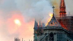 Incendie de Notre-Dame de Paris : de nombreuses réactions de joie signalées sur les réseaux sociaux