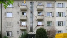 Suisse : des escaliers sur les façades des bâtiments pour permettre aux chats de rentrer et sortir librement