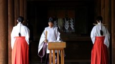 Japon: offrande de Shinzo Abe au sanctuaire controversé Yasukuni