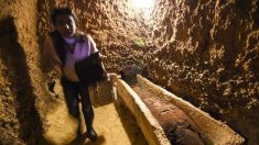 Un sarcophage égyptien va être ouvert pour la première fois en direct à la télévision