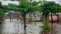 Inondations au Paraguay, 20.000 familles sinistrées