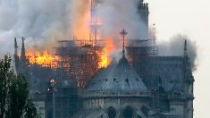 [MAJ] Incendie à Notre-Dame de Paris: Macron reporte son allocution, les dégâts vont être colossaux