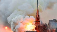 [MAJ] Incendie à Notre-Dame de Paris: « Toute la charpente est en train de brûler »