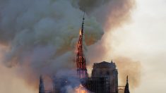 Notre-Dame : quelques heures après le départ du feu, ils vendent des cendres de la cathédrale sur internet