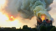 Le secteur privé promet déjà près de 700 millions d’euros pour reconstruire Notre-Dame de Paris