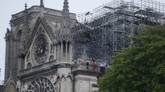 Incendie de Notre-Dame de Paris : ce que l’on sait