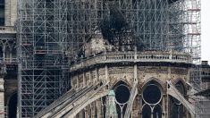 Notre-Dame : la mairie de Paris débloque 50 millions d’euros
