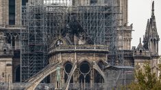 Incendie de Notre-Dame de Paris : attention aux fausses cagnottes, préviennent les gendarmes