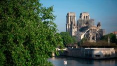Notre-Dame : des dons et un concours international pour rebâtir la cathédrale en cinq ans