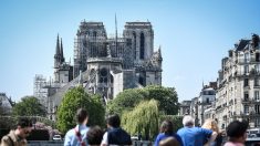 Notre-Dame: les Français désirent renouer avec leur histoire