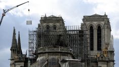 Notre-Dame : Plus de 1 000 experts appellent Emmanuel Macron à éviter la « précipitation »