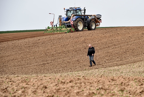 Un agriculteur marche dans son champ de pommes de terre frappé par la sécheresse dans le Nord de la France. Avril 2019 .     (Photo : FRANCOIS LO PRESTI/AFP/Getty Images)