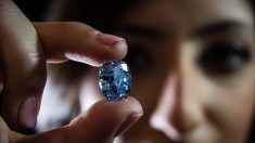 Un rare diamant bleu de 20 carats découvert au Botswana