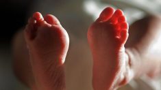 Après 18 ans sans avoir pu concevoir d’enfants, une femme donne naissance à des quintuplés